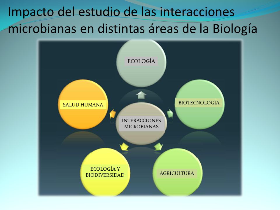 Impacto del estudio de las interacciones microbianas en distintas áreas de la Biología