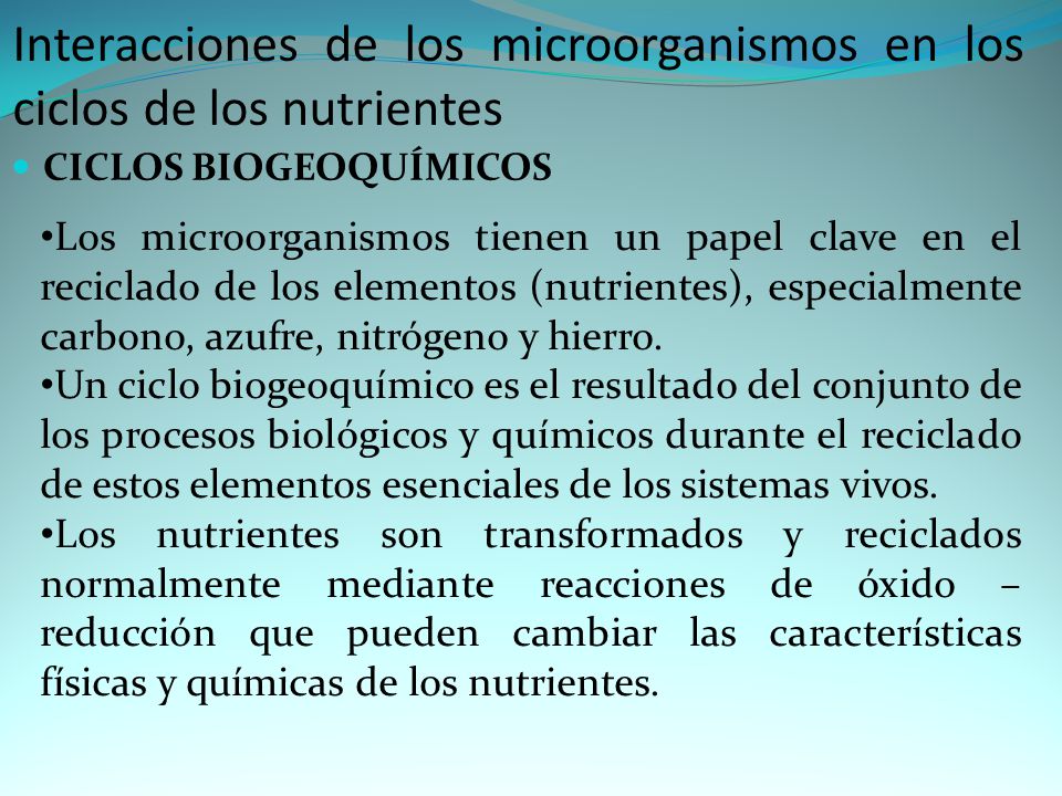 Interacciones de los microorganismos en los ciclos de los nutrientes
