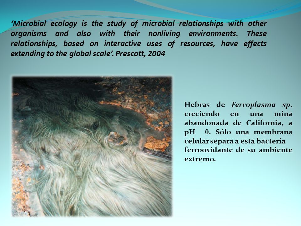 ‘Microbial ecology is the study of microbial relationships with other organisms and also with their nonliving environments. These relationships, based on interactive uses of resources, have effects extending to the global scale’. Prescott, 2004