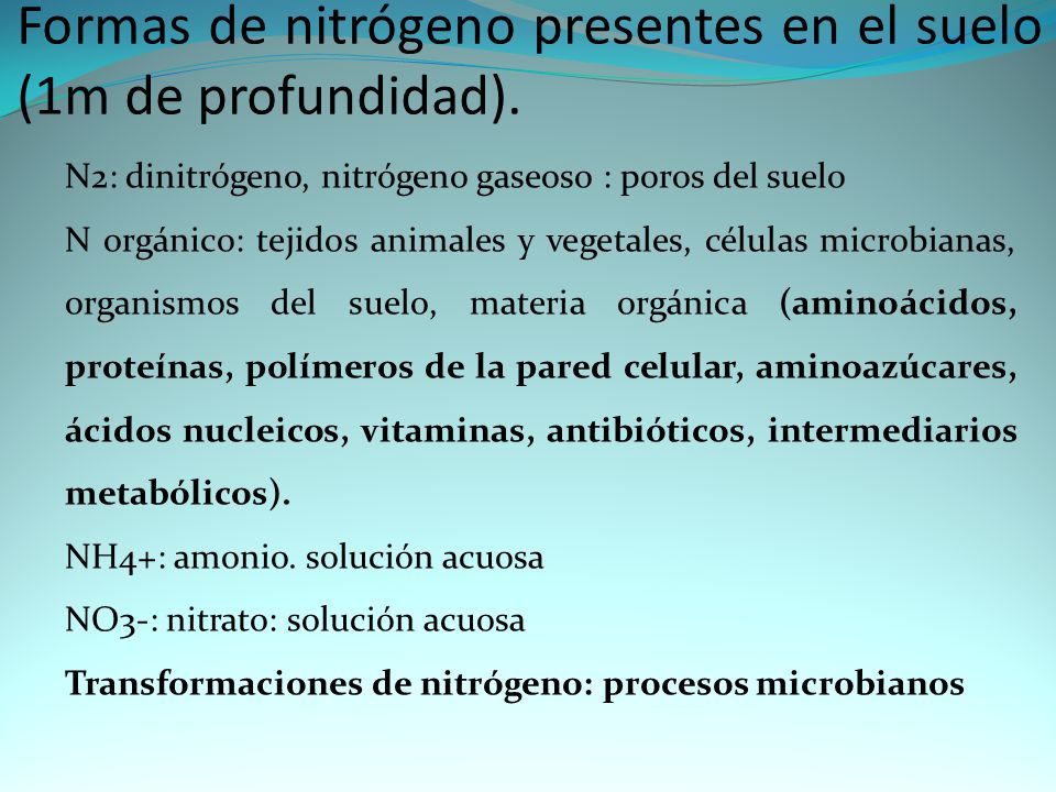 Formas de nitrógeno presentes en el suelo (1m de profundidad).