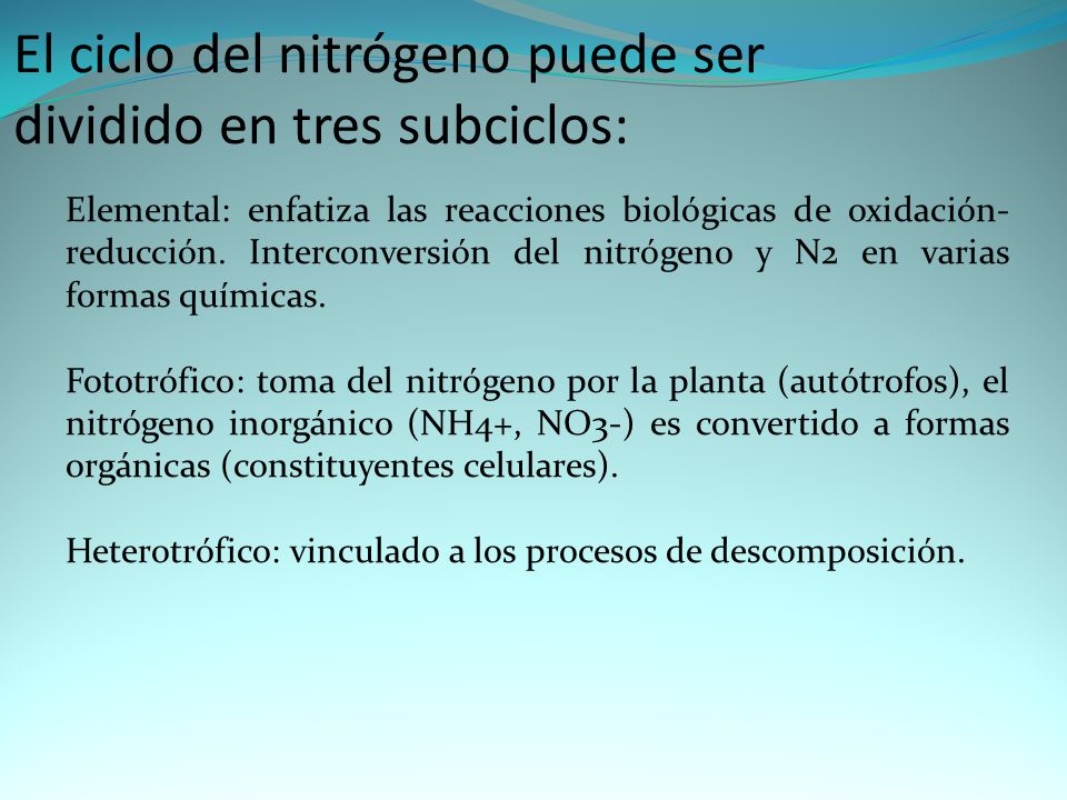 El ciclo del nitrógeno puede ser dividido en tres subciclos: