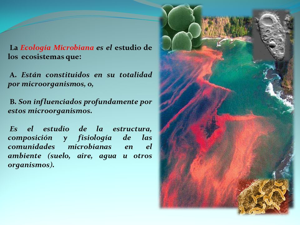La Ecología Microbiana es el estudio de los ecosistemas que: