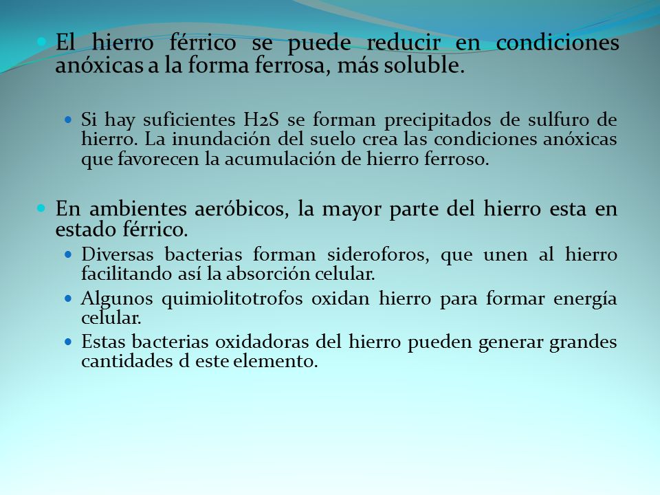 El hierro férrico se puede reducir en condiciones anóxicas a la forma ferrosa, más soluble.
