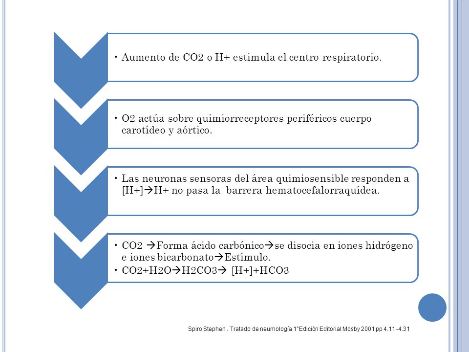 Aumento de CO2 o H+ estimula el centro respiratorio.