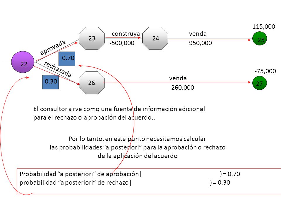 El consultor sirve como una fuente de información adicional
