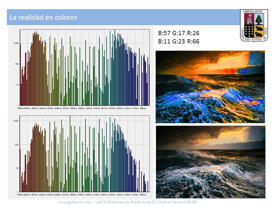 La realidad en colores B:57 G:17 R:26 B:11 G:23 R:66