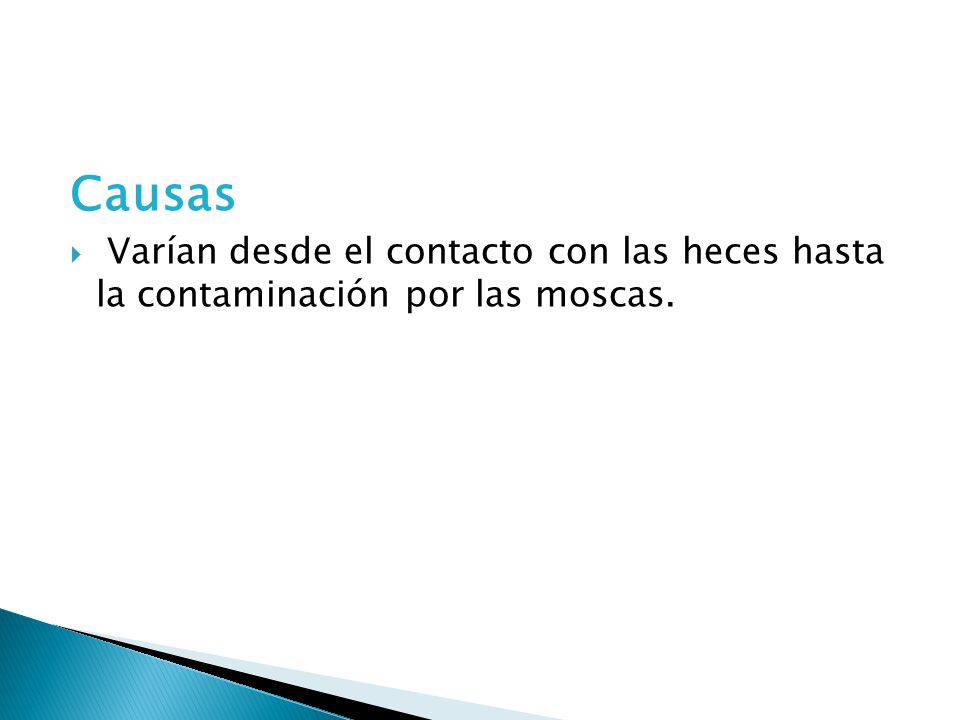 Causas Varían desde el contacto con las heces hasta la contaminación por las moscas.