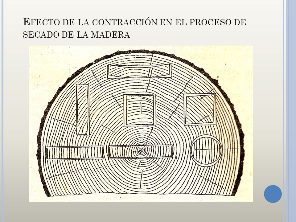 Efecto de la contracción en el proceso de secado de la madera