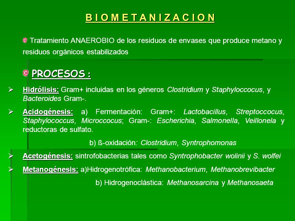 B I O M E T A N I Z A C I O N PROCESOS :