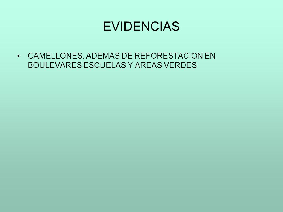 EVIDENCIAS CAMELLONES, ADEMAS DE REFORESTACION EN BOULEVARES ESCUELAS Y AREAS VERDES