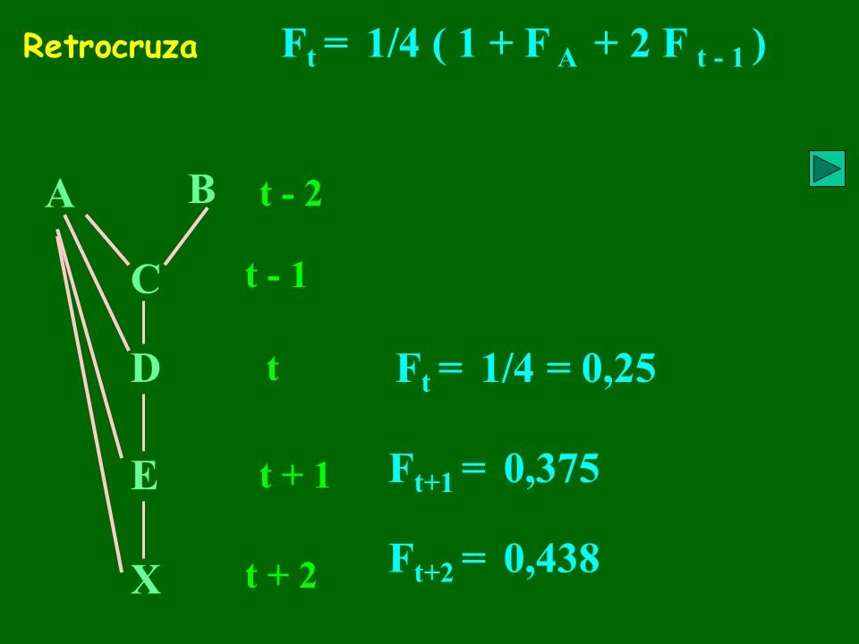 Ft = 1/4 ( 1 + F A + 2 F t - 1 ) A B C D Ft = 1/4 = 0,25 Ft+1 = 0,375