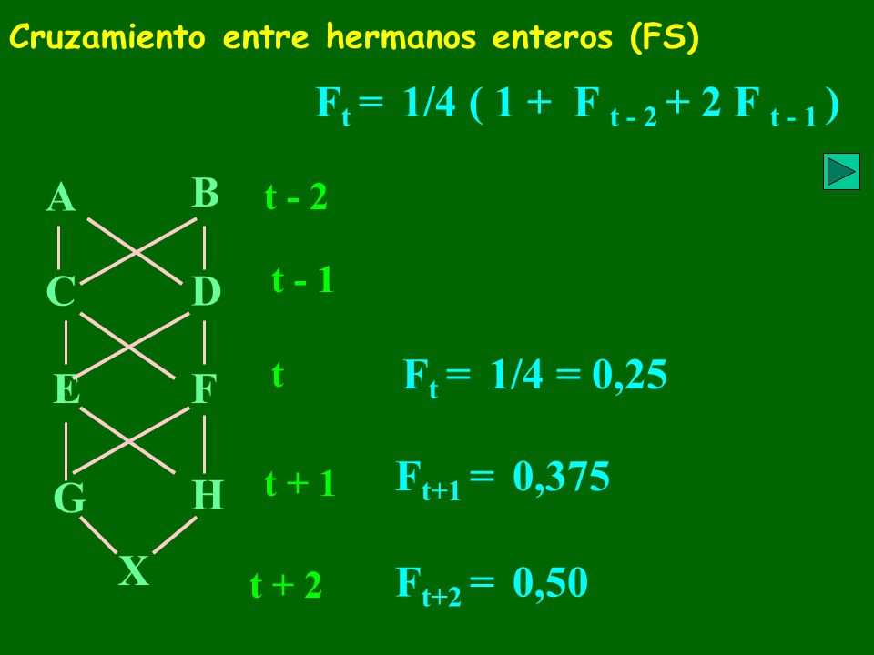 Ft = 1/4 ( 1 + F t F t - 1 ) A B C D Ft = 1/4 = 0,25 E F
