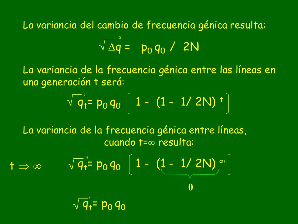 q = p0 q0 / 2N  qt= p0 q0 1 - (1 - 1/ 2N) t 