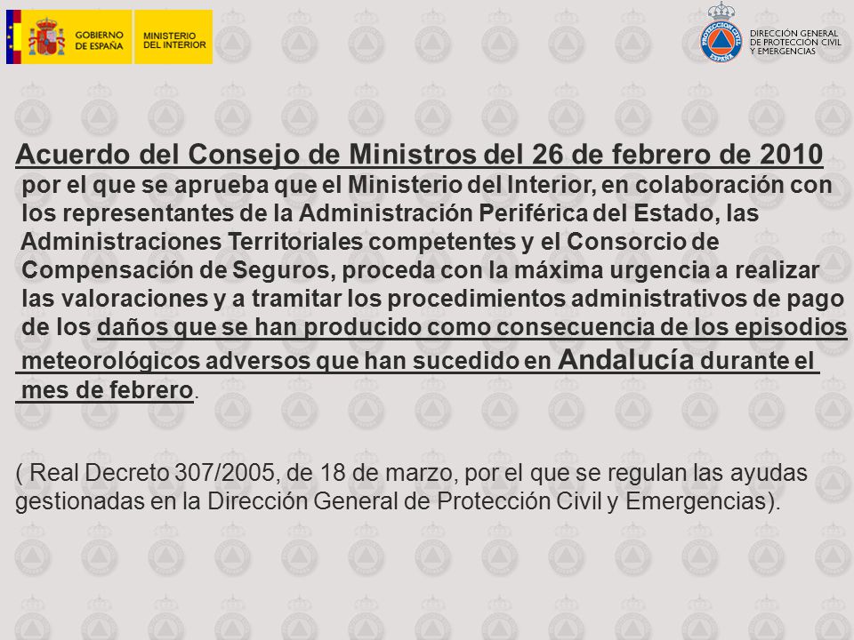 Acuerdo del Consejo de Ministros del 26 de febrero de 2010