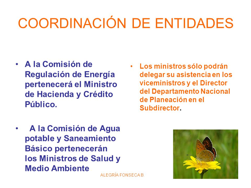 COORDINACIÓN DE ENTIDADES