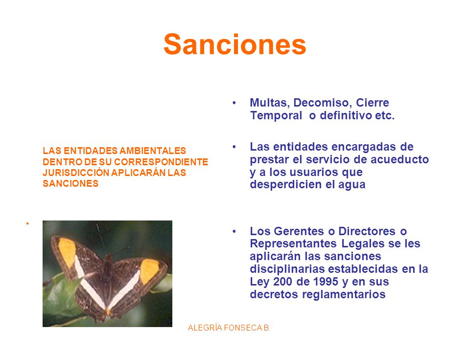 Sanciones . Multas, Decomiso, Cierre Temporal o definitivo etc.