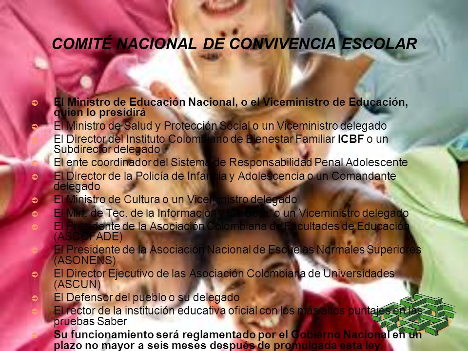 COMITÉ NACIONAL DE CONVIVENCIA ESCOLAR