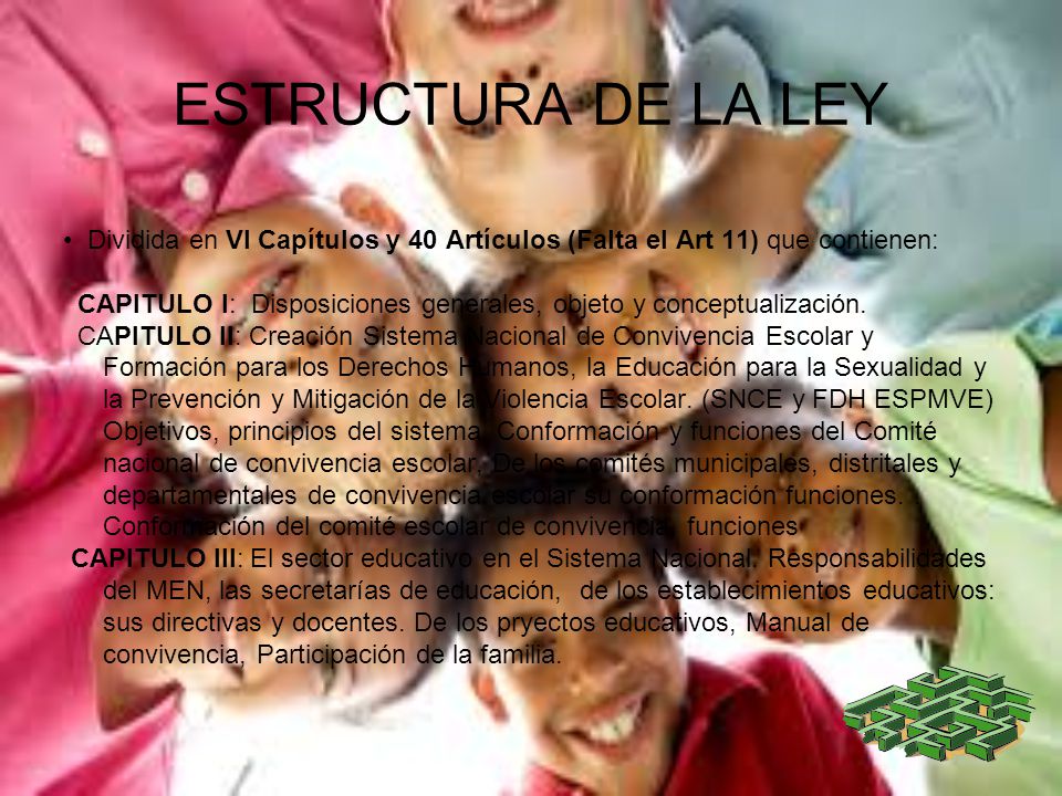 ESTRUCTURA DE LA LEY • Dividida en VI Capítulos y 40 Artículos (Falta el Art 11) que contienen: