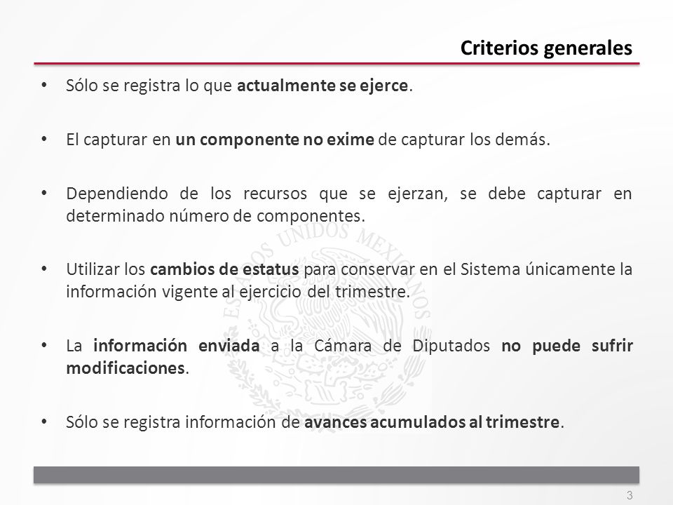 Criterios generales Sólo se registra lo que actualmente se ejerce.