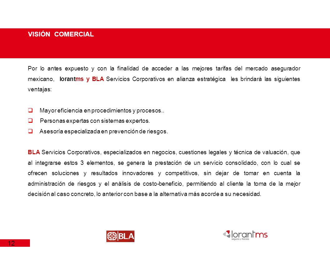 VISIÓN COMERCIAL