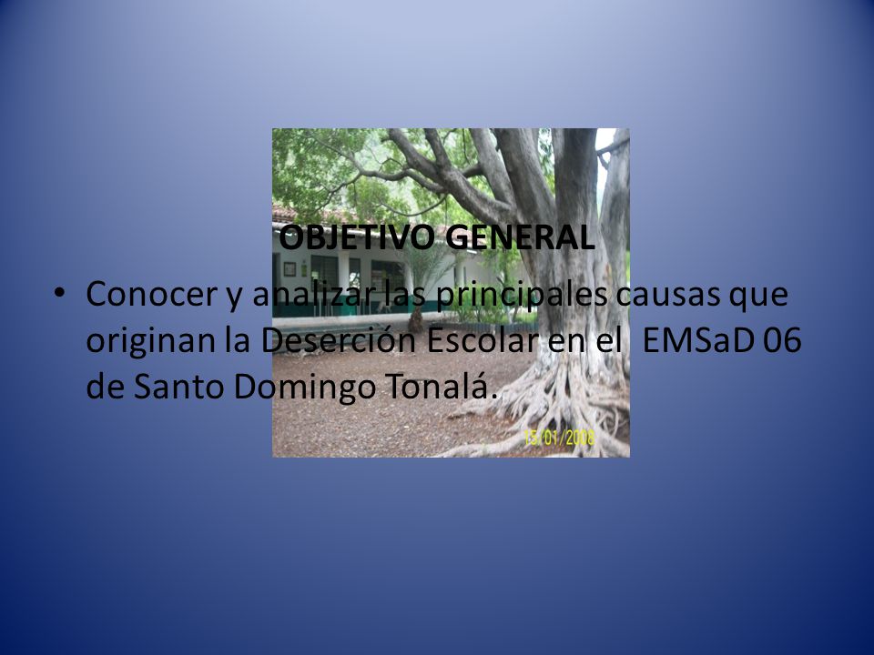 OBJETIVO GENERAL Conocer y analizar las principales causas que originan la Deserción Escolar en el EMSaD 06 de Santo Domingo Tonalá.