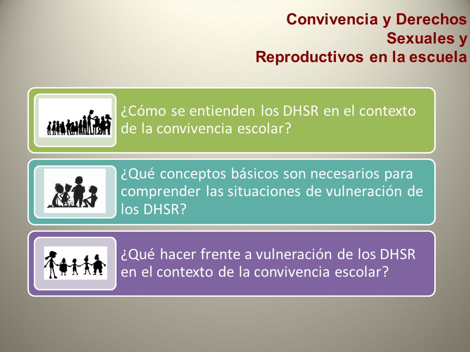 ¿Cómo se entienden los DHSR en el contexto de la convivencia escolar
