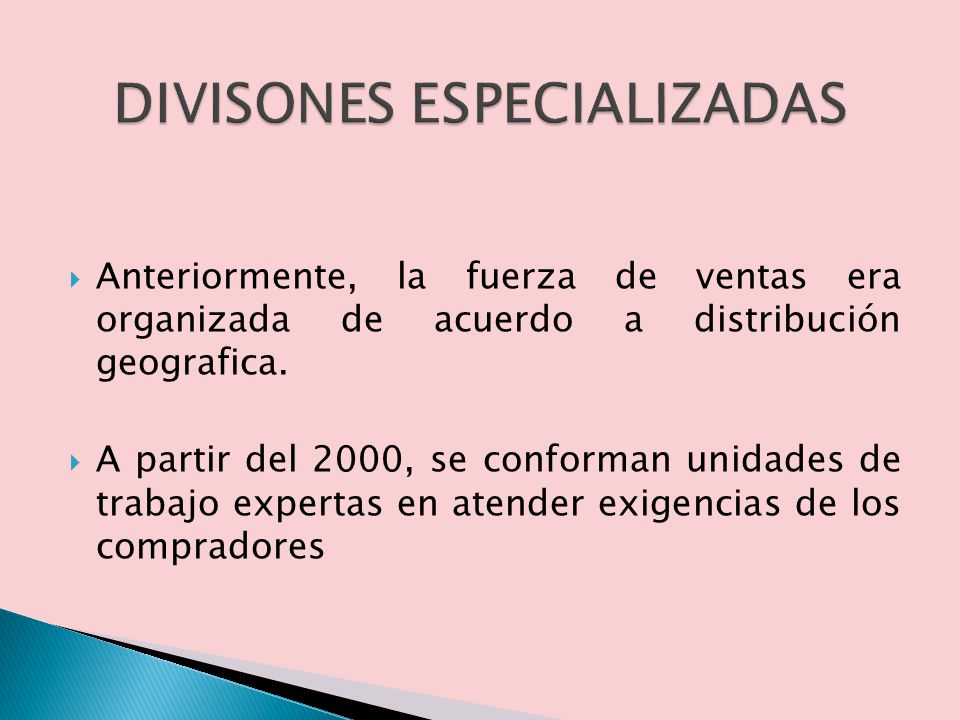 DIVISONES ESPECIALIZADAS