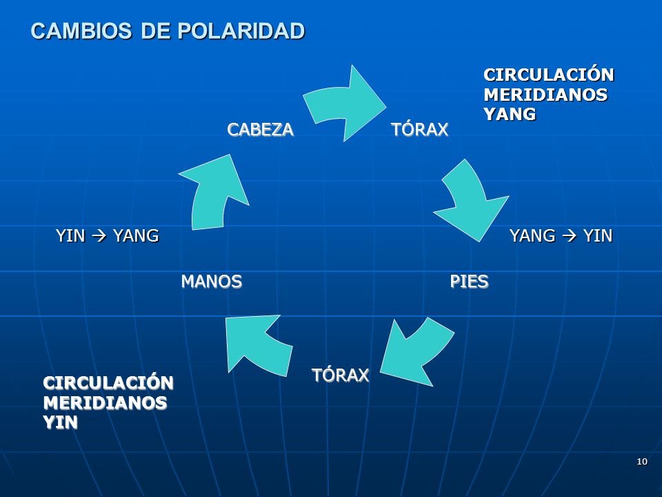 CAMBIOS DE POLARIDAD CIRCULACIÓN MERIDIANOS YANG YIN  YANG YANG  YIN