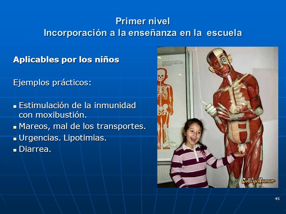 Primer nivel Incorporación a la enseñanza en la escuela