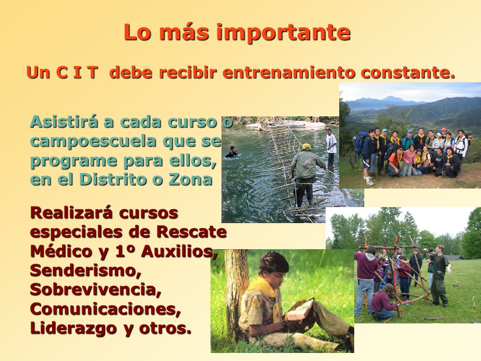 Lo más importante Un C I T debe recibir entrenamiento constante.