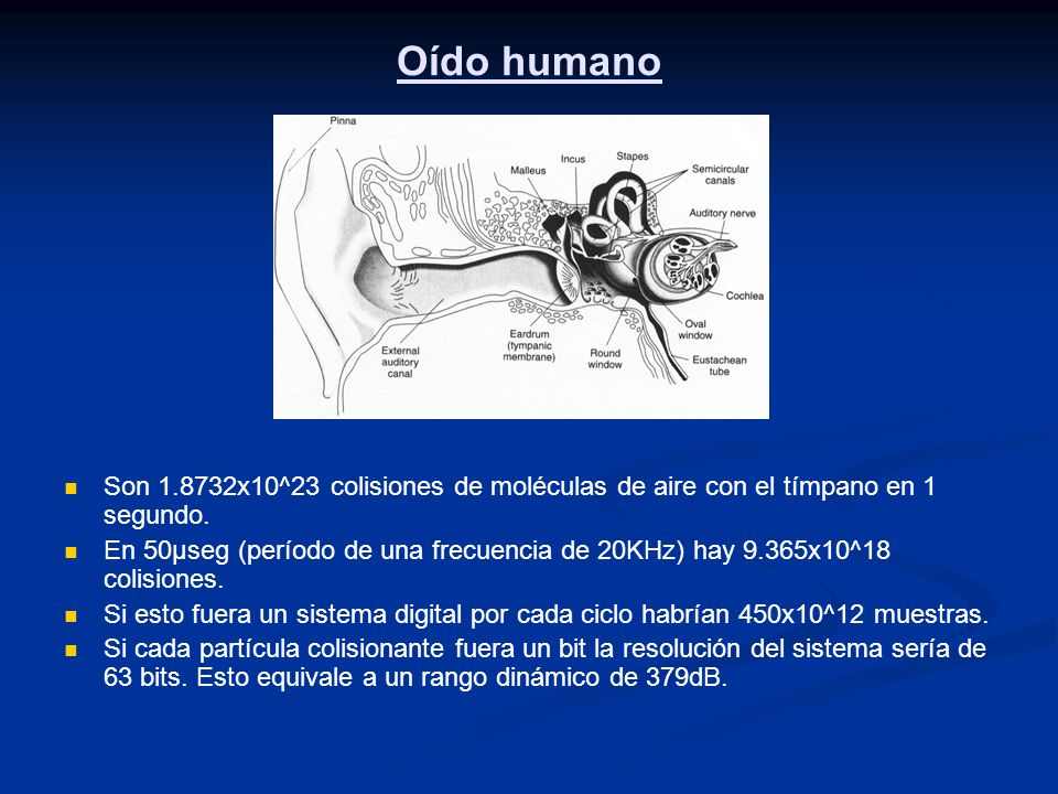 Oído humano Son x10^23 colisiones de moléculas de aire con el tímpano en 1 segundo.