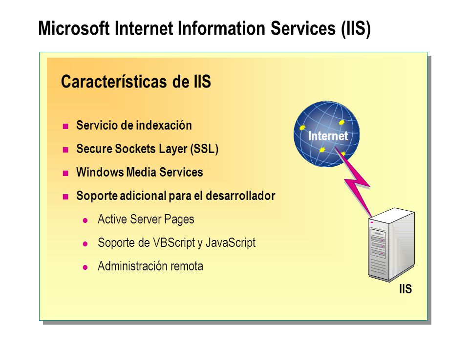 Microsoft Internet Information Services (IIS)