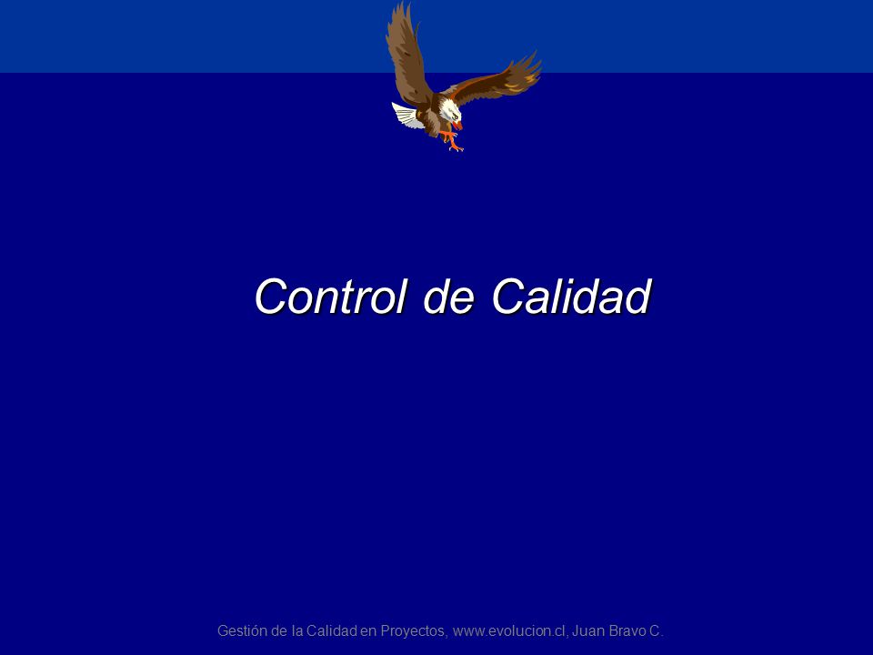 Gestión de la Calidad en Proyectos,   Juan Bravo C.