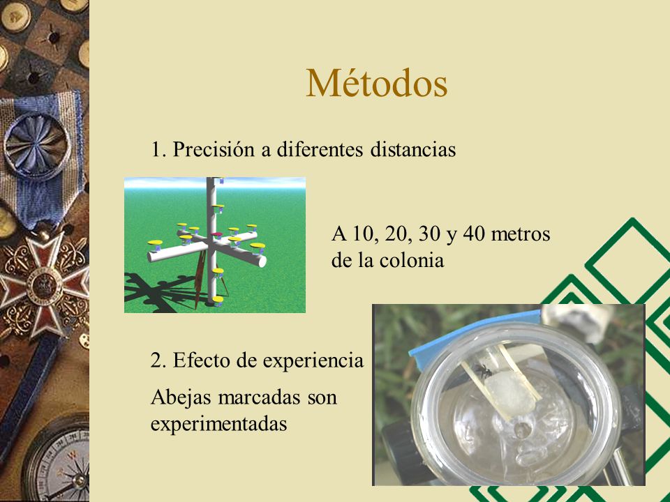 Métodos 1. Precisión a diferentes distancias A 10, 20, 30 y 40 metros