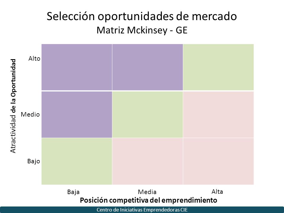 Selección oportunidades de mercado Matriz Mckinsey - GE