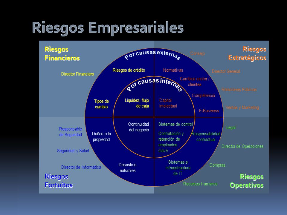 Riesgos Empresariales