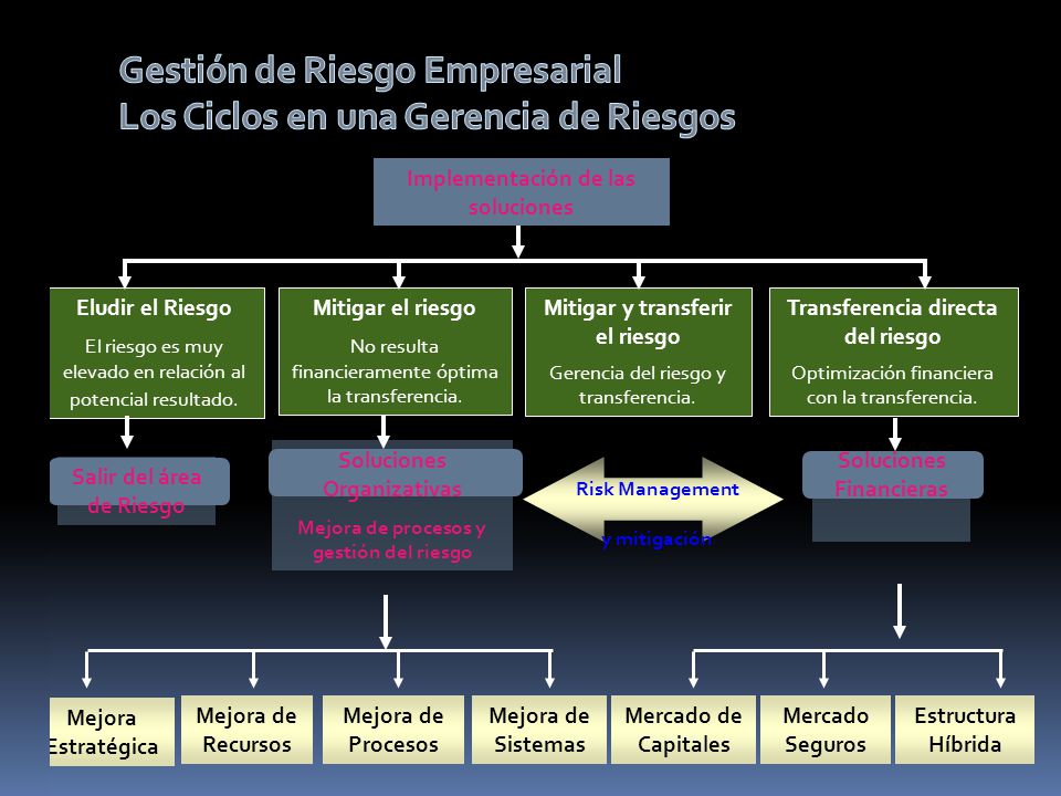 Gestión de Riesgo Empresarial Los Ciclos en una Gerencia de Riesgos