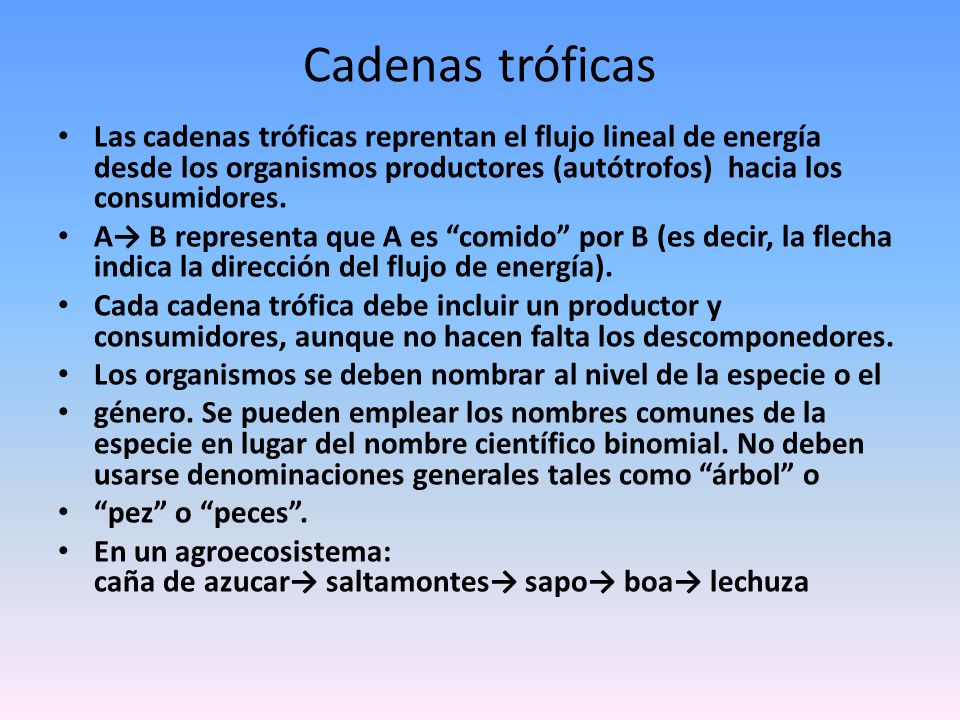 Cadenas tróficas Las cadenas tróficas reprentan el flujo lineal de energía desde los organismos productores (autótrofos) hacia los consumidores.