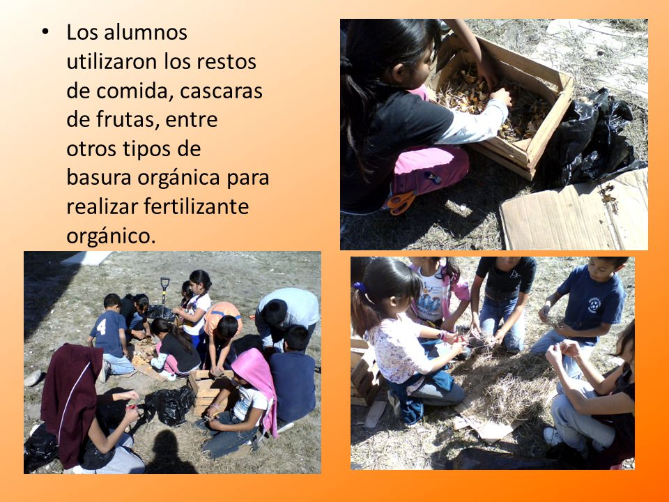 Los alumnos utilizaron los restos de comida, cascaras de frutas, entre otros tipos de basura orgánica para realizar fertilizante orgánico.