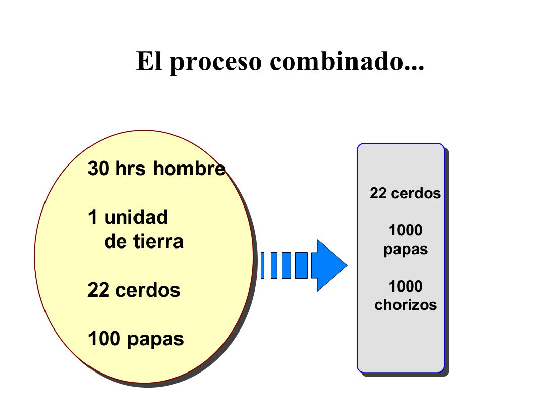 El proceso combinado hrs hombre 1 unidad de tierra 22 cerdos