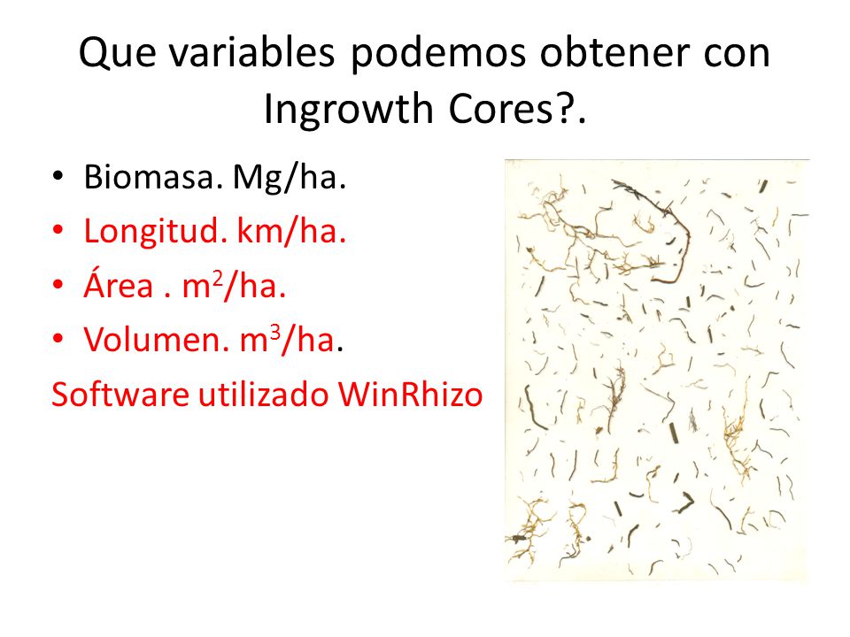 Que variables podemos obtener con Ingrowth Cores .