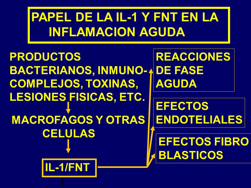 PAPEL DE LA IL-1 Y FNT EN LA INFLAMACION AGUDA