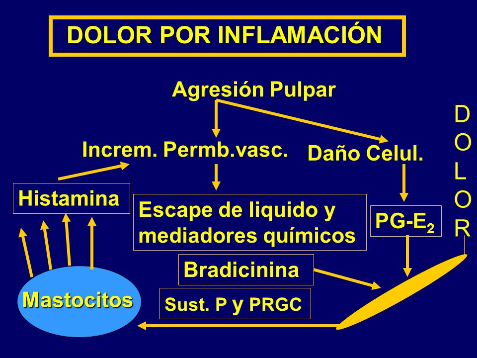 D O L R Agresión Pulpar Increm. Permb.vasc. Daño Celul. Histamina
