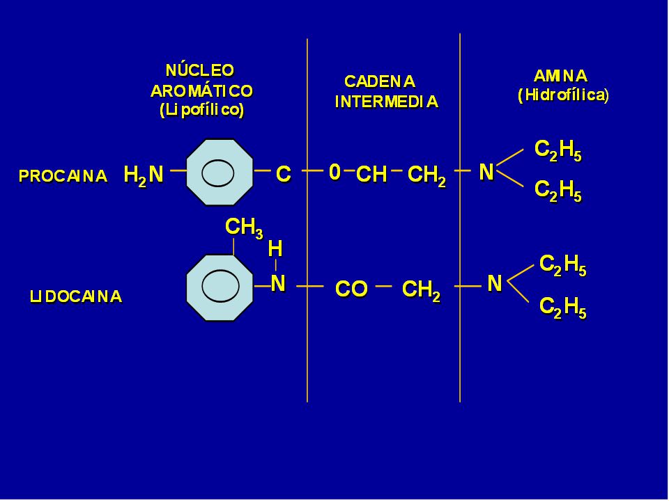La estructura química de los anestésicos locales está constituida por un núcleo aromático, una amina terminal secundaria o terciaria a la que se le puede reemplazar los hidrógenos dando origen a distintas moléculas, y una cadena intermedia que separa los dos grupos anteriores. El grupo aromático confiere a los anestésicos locales propiedades lipofílicas, permitiéndoles, atravesar membranas, y el grupo de las aminas les confiere propiedades hidrofílicas, lo que los hace solubles en agua. Sin porción hidrofílicas, no son solubles, no pueden inyectarse y sólo pueden administrarse en forma tópica.
