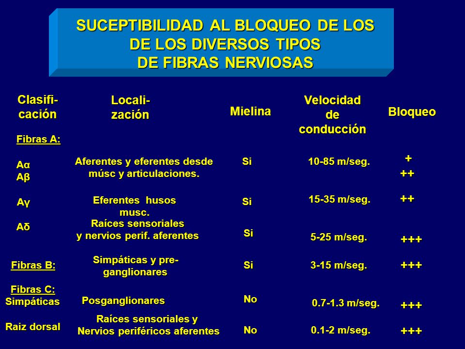 SUCEPTIBILIDAD AL BLOQUEO DE LOS DE LOS DIVERSOS TIPOS