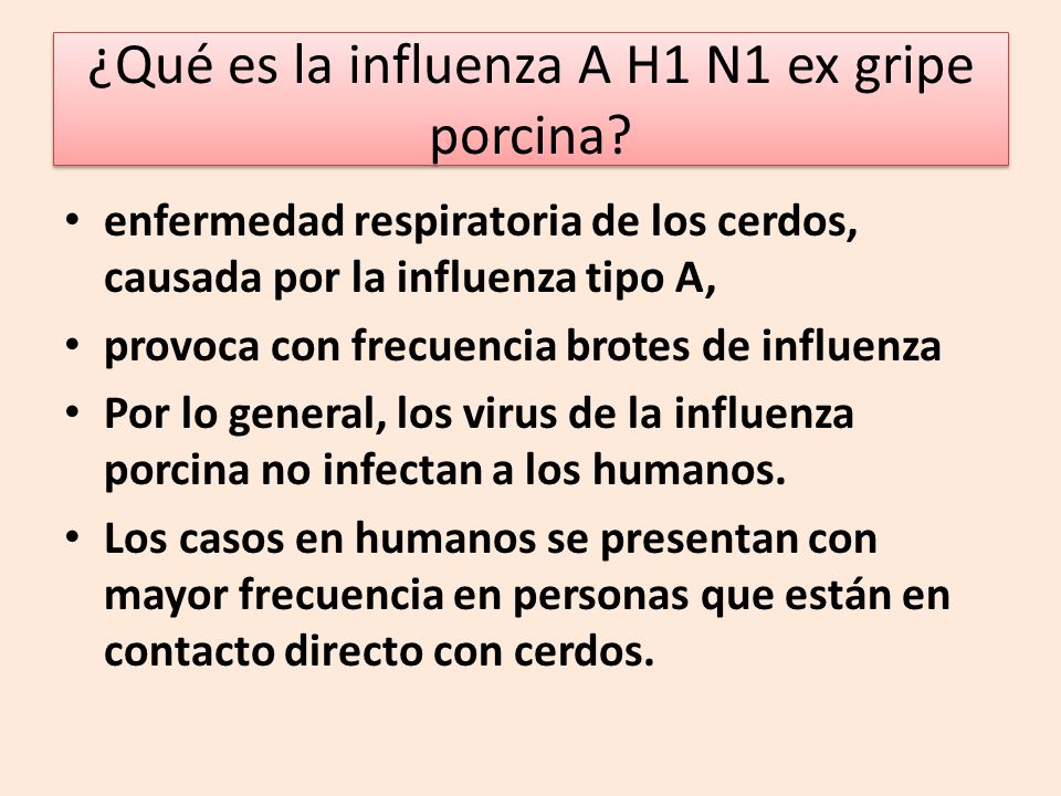 ¿Qué es la influenza A H1 N1 ex gripe porcina