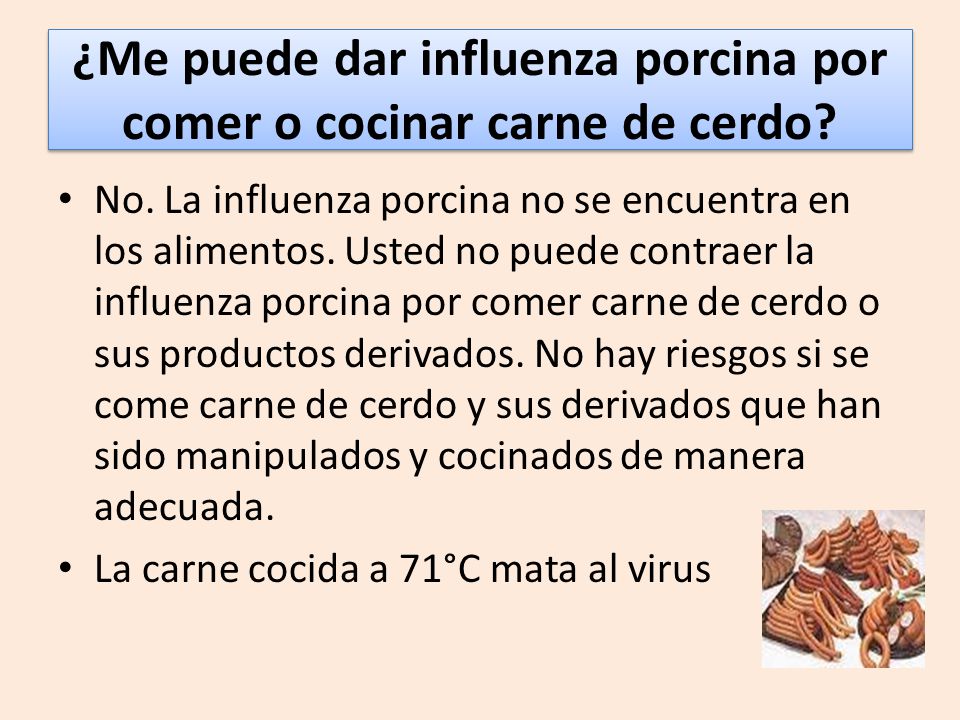 ¿Me puede dar influenza porcina por comer o cocinar carne de cerdo