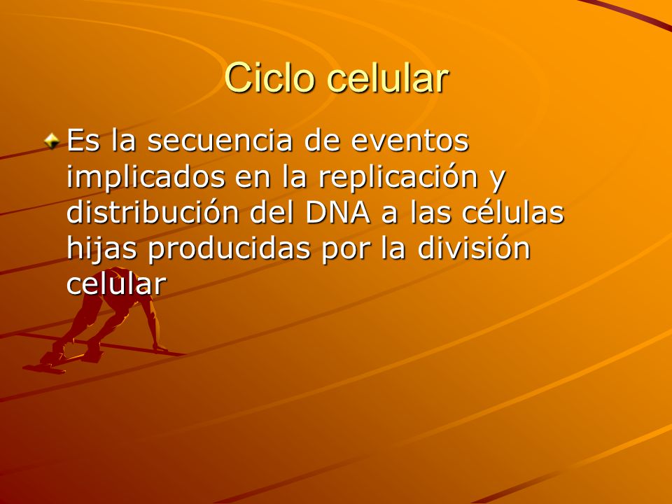 Ciclo celular Es la secuencia de eventos implicados en la replicación y distribución del DNA a las células hijas producidas por la división celular.