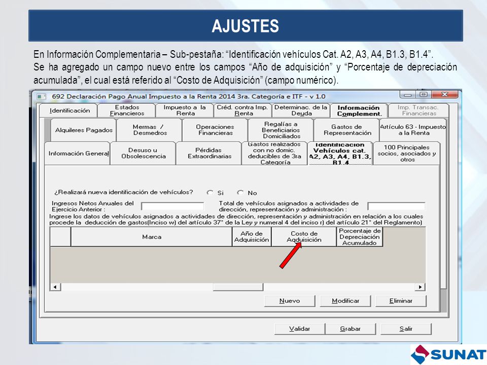 AJUSTES En Información Complementaria – Sub-pestaña: Identificación vehículos Cat. A2, A3, A4, B1.3, B1.4 .