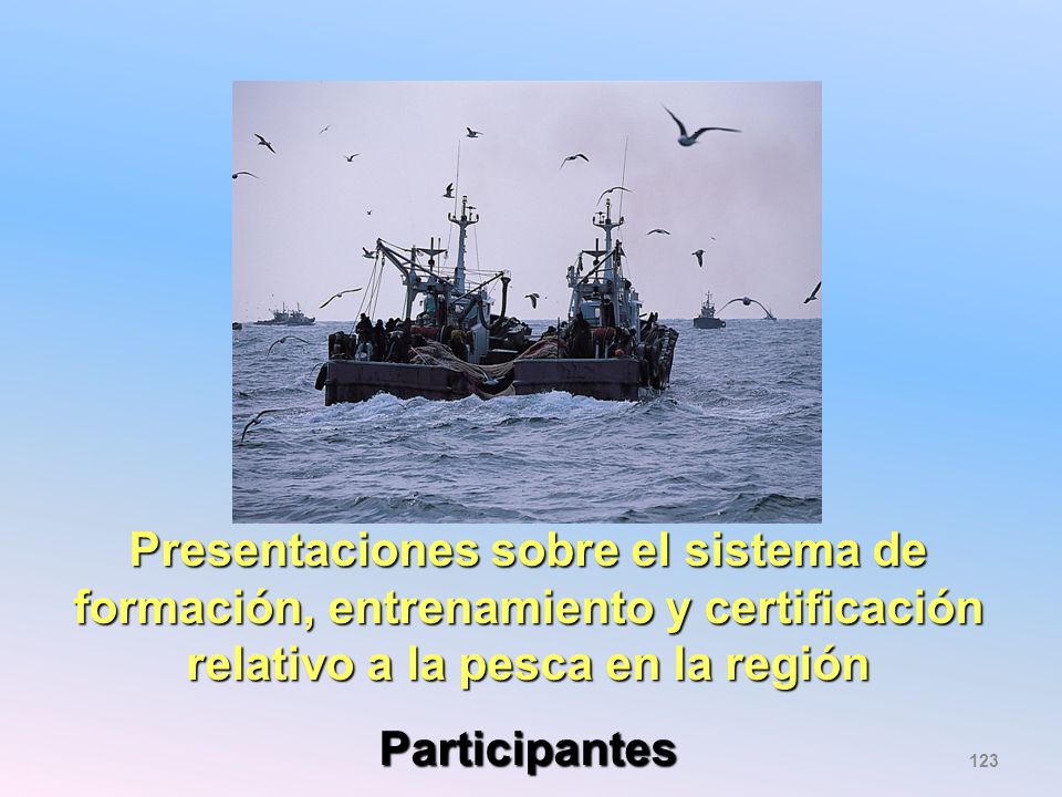 Presentaciones sobre el sistema de formación, entrenamiento y certificación relativo a la pesca en la región